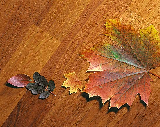 Лучшие напольные покрытия